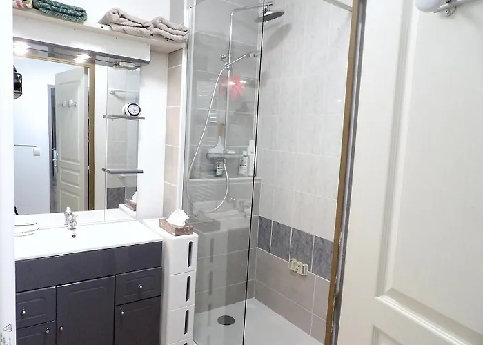 Confort Piscine Parking Agde